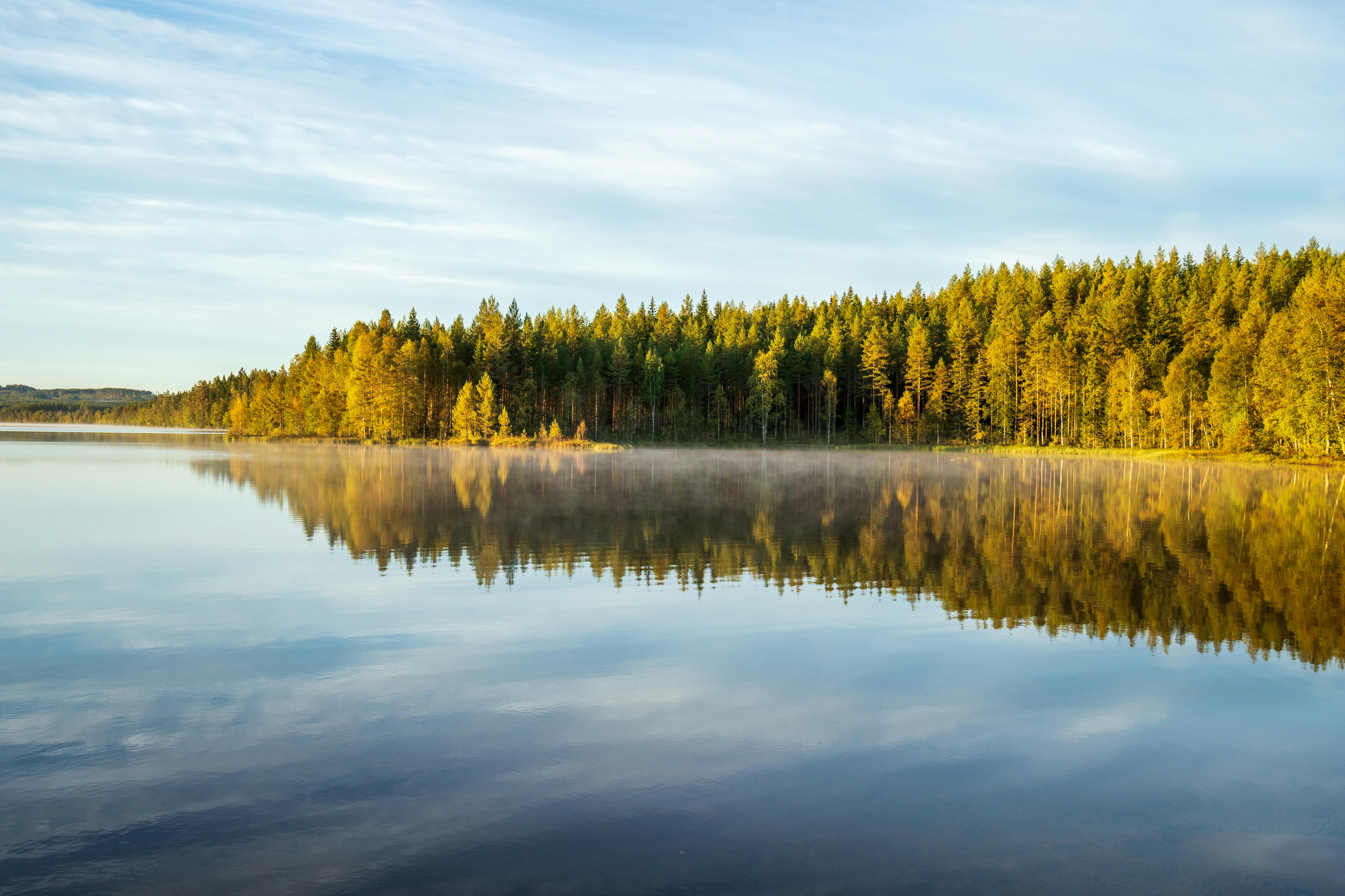 Morning mist over mirror-calm Finnish lake