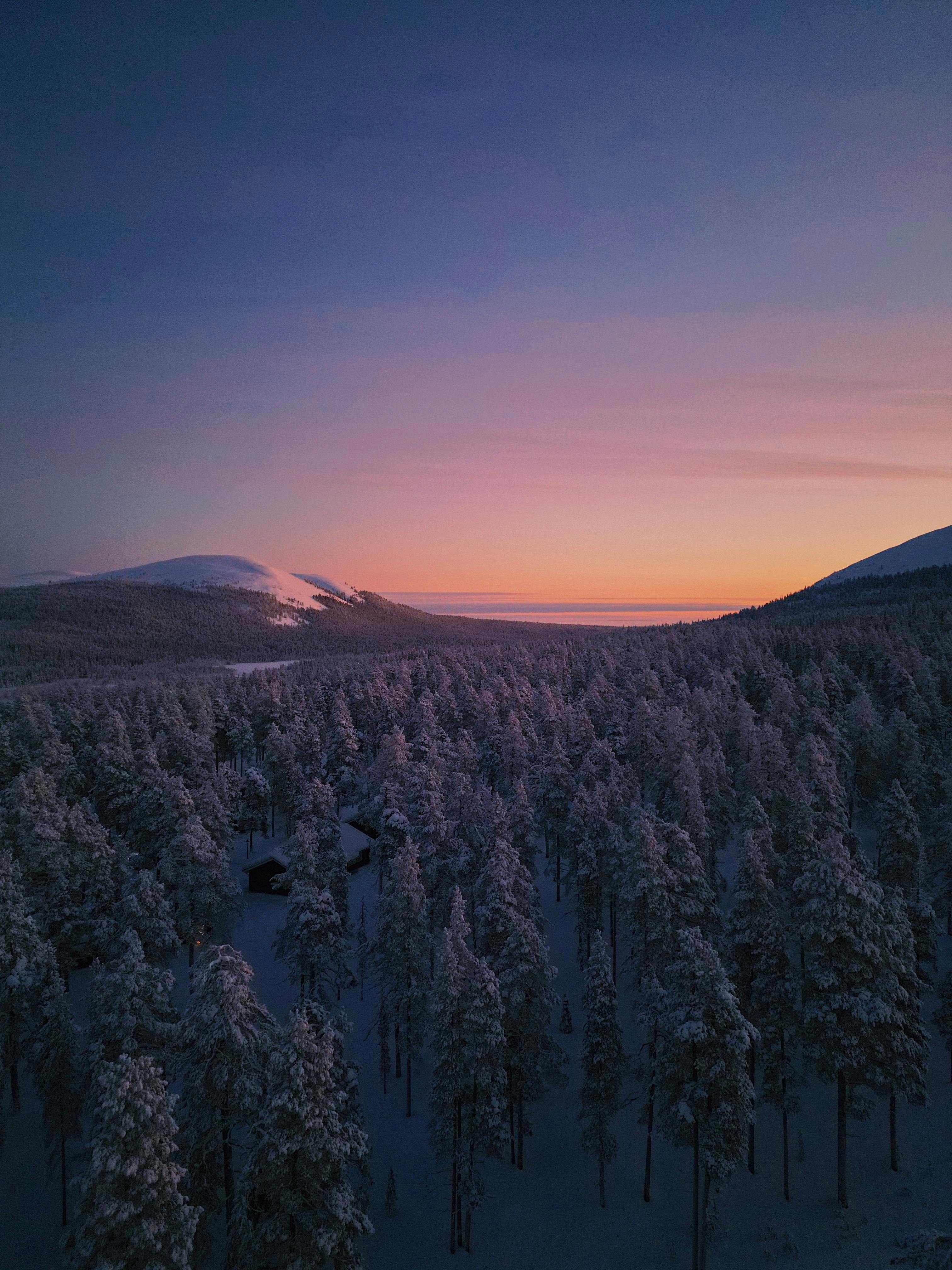 Aerial view of snowy Lapland forest at dusk