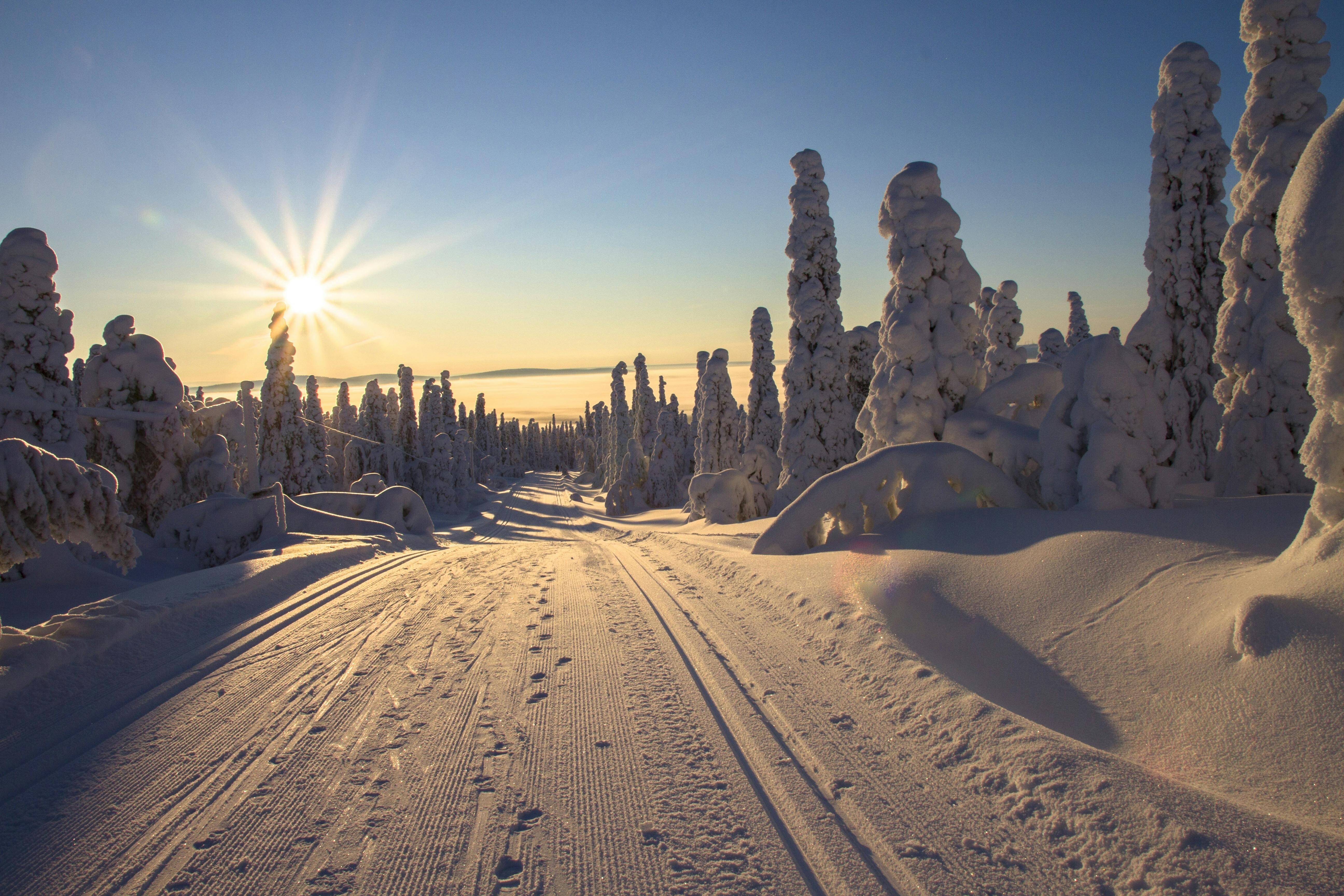 Cross-country ski track through snowy Lapland forest